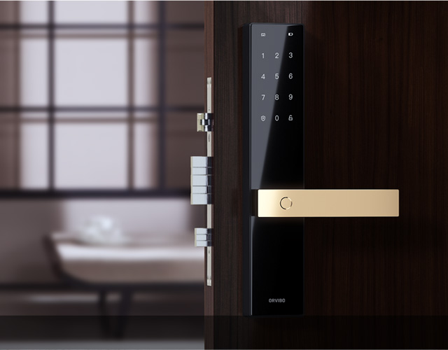 Smart Door Lock T1